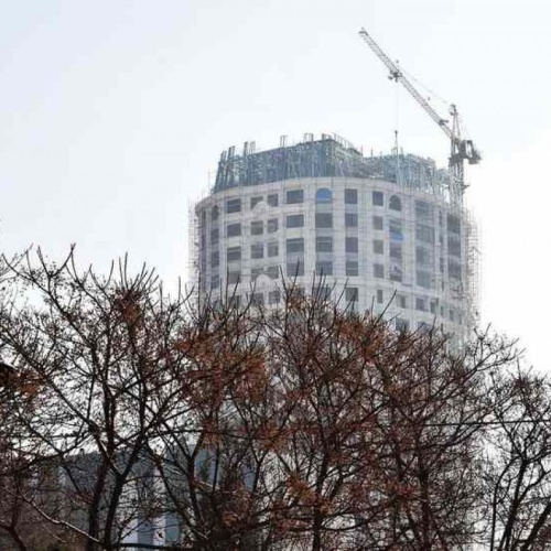 داربست وطن دوست