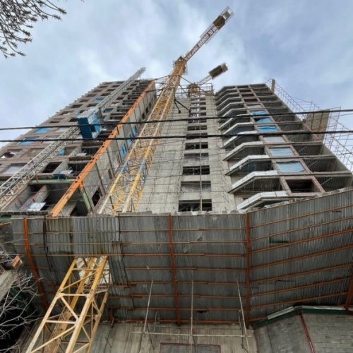 داربست وطن دوست