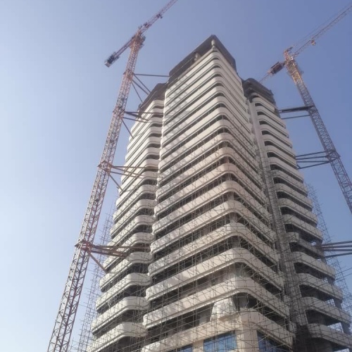 داربست وطن دوست