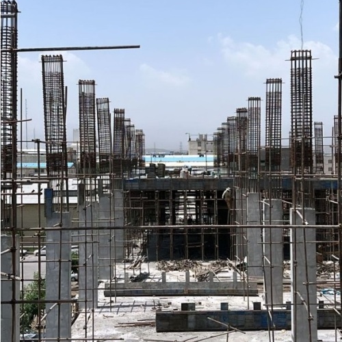 داربست وطن دوست